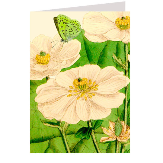 White Flowers Beautiful Floral Card ~ England